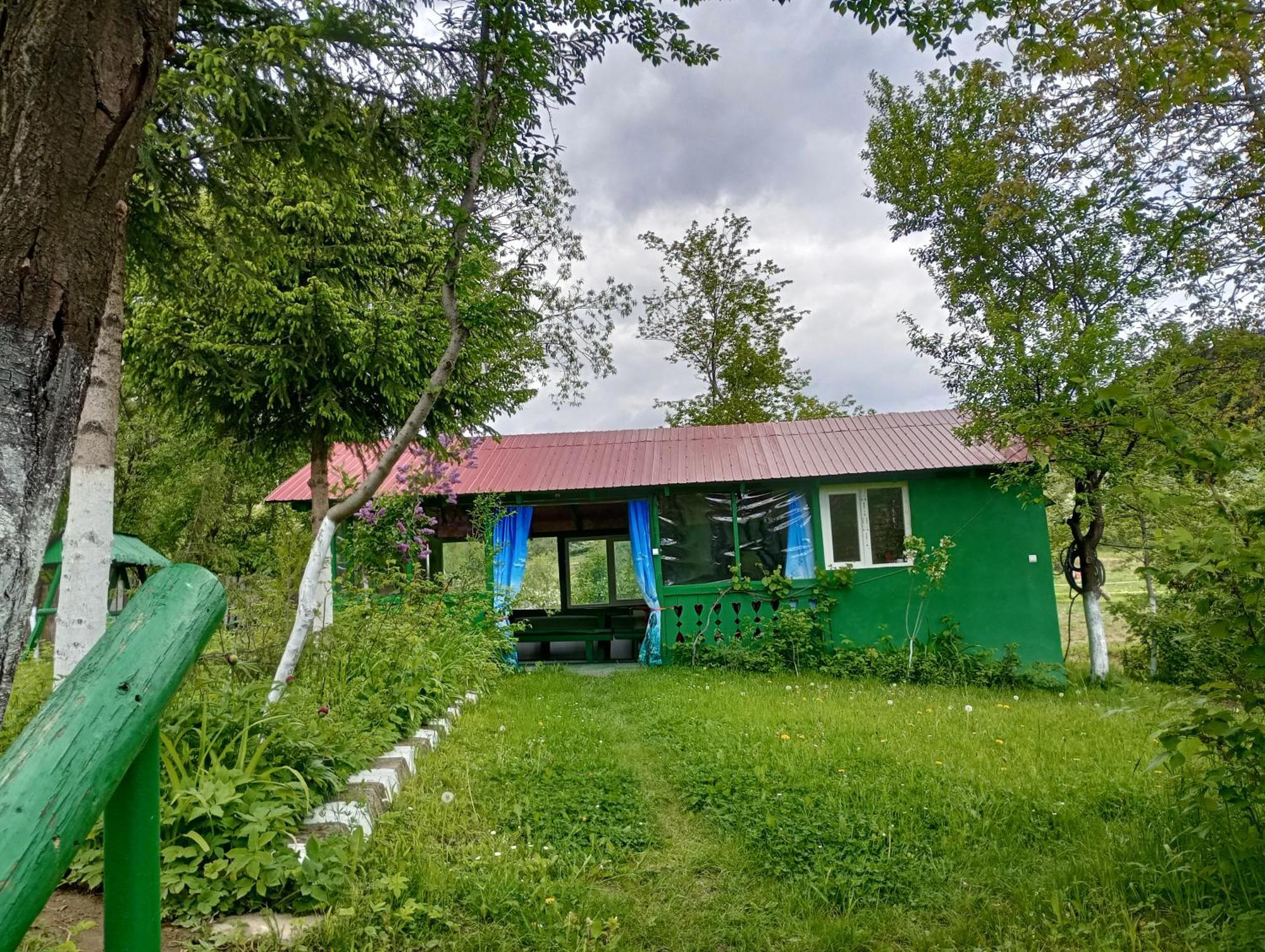 Pensiunea Irina 1 Si 2 Зэрнешти Экстерьер фото